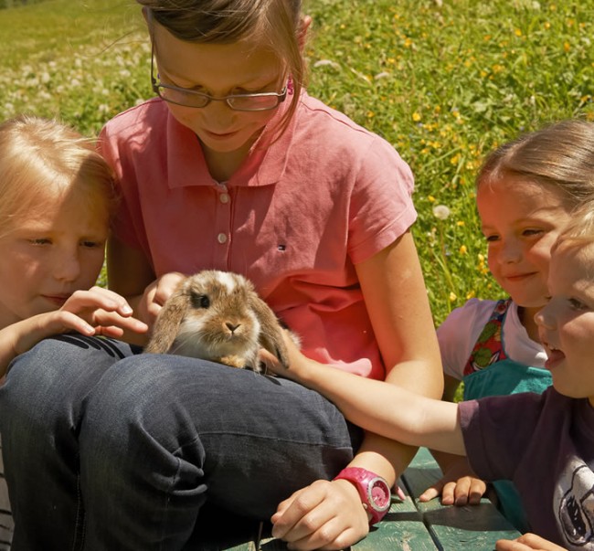 Unsere Tiere freuen sich von den Kindern gestreichelt zu werden